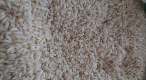 برنج حسنی چه نوع برنجی است؟