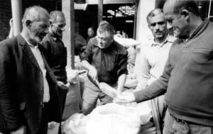 آیا برنج گران تر می شود؟ – سوچلا IMG 6344 – سوچلا