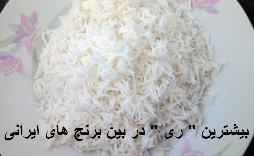 کدام برنج بیشترین "ری " را دارد ؟